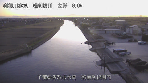 yoko2025121217_image