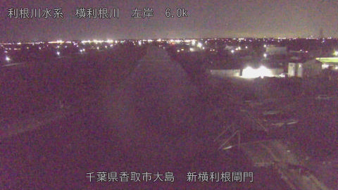 yoko2025121220_image