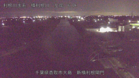 yoko2025121221_image