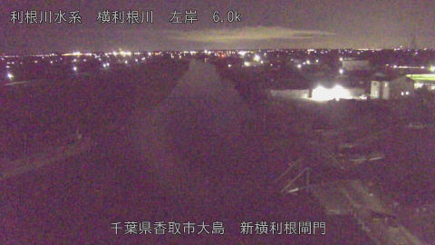 yoko2025121222_image