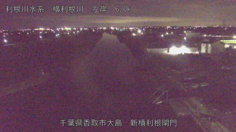 yoko2025121223_image