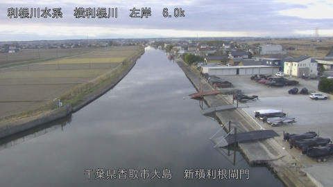 yoko2025121308_image