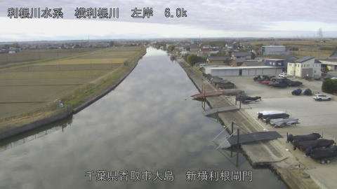 yoko2025121309_image