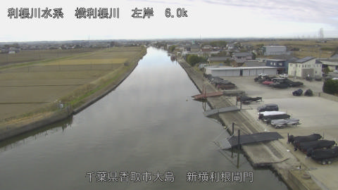 yoko2025121310_image