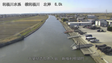 yoko2025121311_image