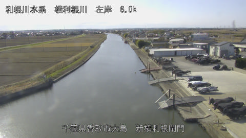 yoko2025121312_image