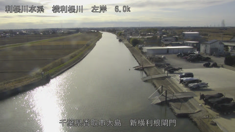 yoko2025121313_image