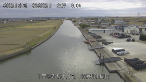 yoko2025121314_image