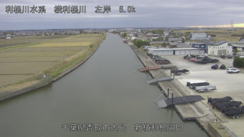 yoko2025121315_image