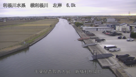 yoko2025121316_image