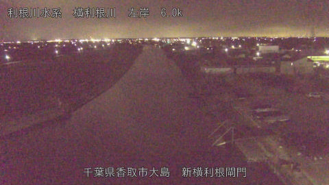 yoko2025121319_image