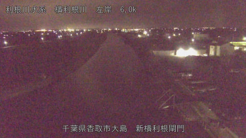 yoko2025121323_image