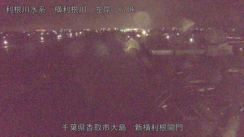 yoko2025121406_image