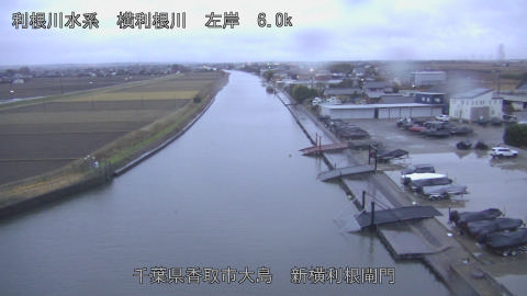 yoko2025121407_image