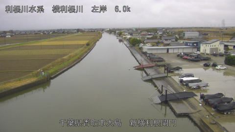 yoko2025121408_image