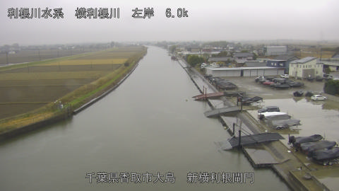 yoko2025121409_image