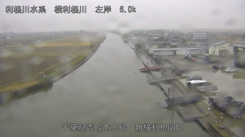 yoko2025121410_image