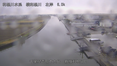 yoko2025121416_image