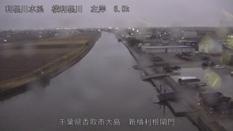 yoko2025121417_image