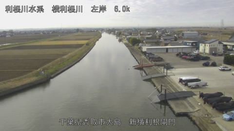 yoko2025121610_image