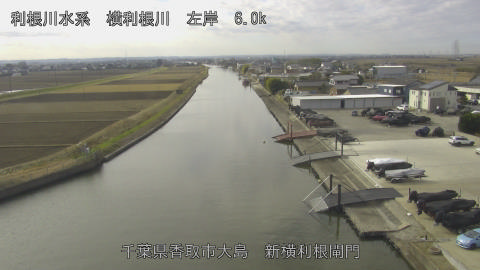 yoko2025121611_image