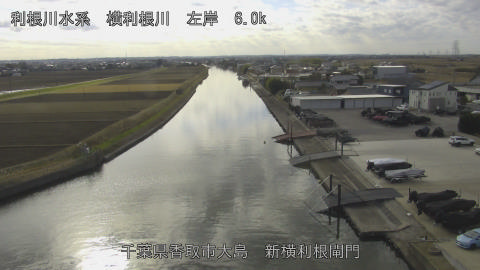 yoko2025121613_image