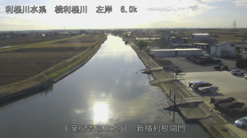 yoko2025121614_image