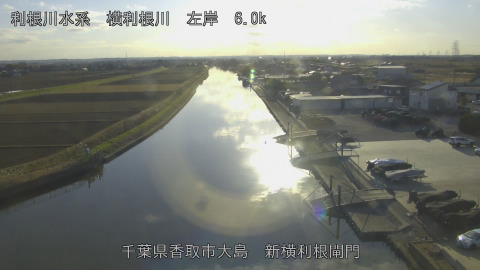 yoko2025121615_image