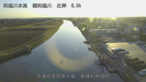 yoko2025121616_image