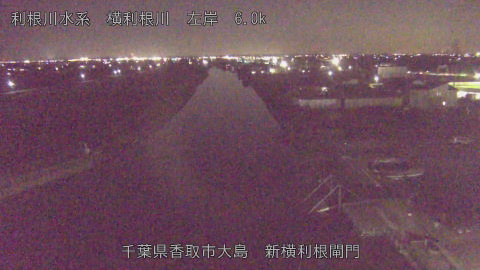 yoko2025121618_image