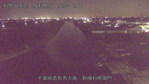 yoko2025121619_image