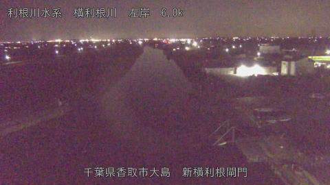 yoko2025121620_image