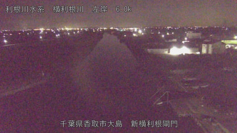 yoko2025121621_image