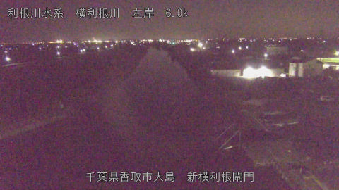 yoko2025121623_image