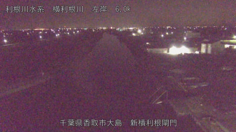 yoko2025121701_image