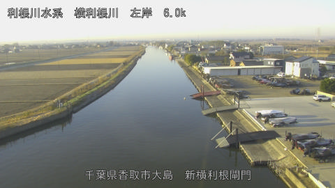 yoko2025121708_image