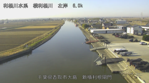 yoko2025121709_image