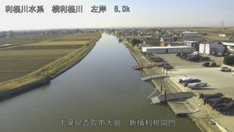 yoko2025121710_image