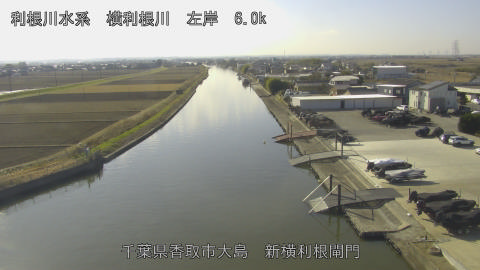 yoko2025121712_image