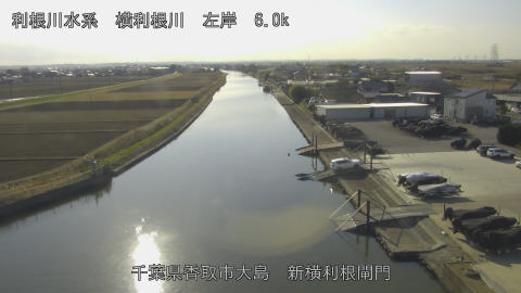 yoko2025121714_image