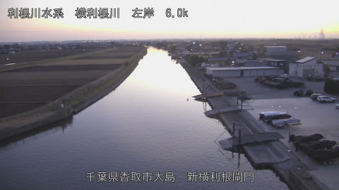 yoko2025121717_image