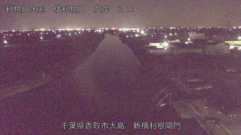 yoko2025121718_image