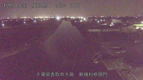 yoko2025121719_image