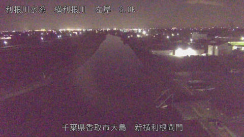 yoko2025121720_image