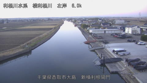 yoko2025121807_image