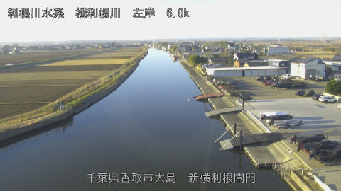 yoko2025121808_image