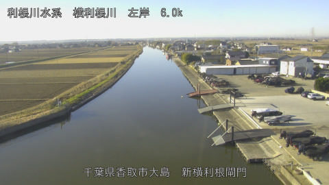 yoko2025121809_image