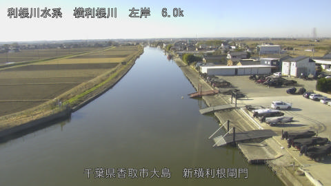 yoko2025121810_image