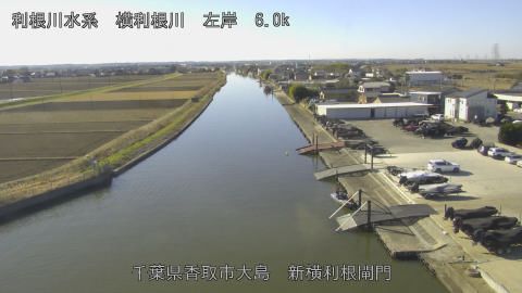 yoko2025121811_image