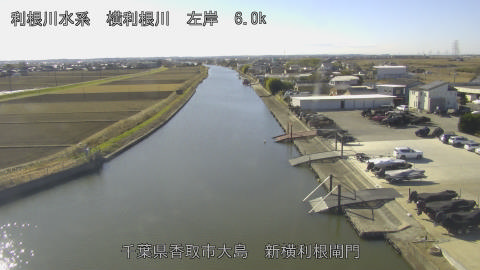 yoko2025121812_image